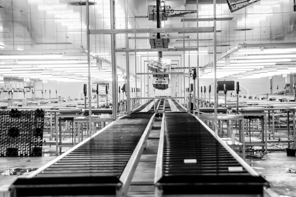 Alianzas Estratégicas en Tecnología: Cómo la Colaboración Entre Empresas de Datos y Automatización Está Redefiniendo el Mercado